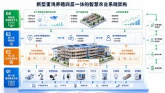 都是多智能体进化的绝